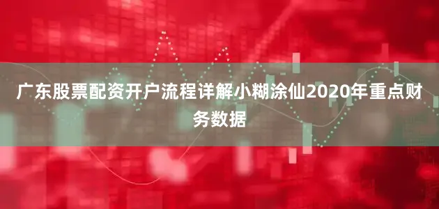 广东股票配资开户流程详解小糊涂仙2020年重点财务数据